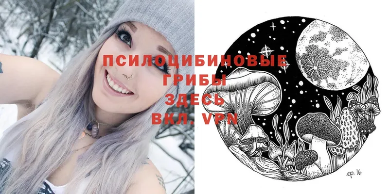 Псилоцибиновые грибы Psilocybe  Волгоград 